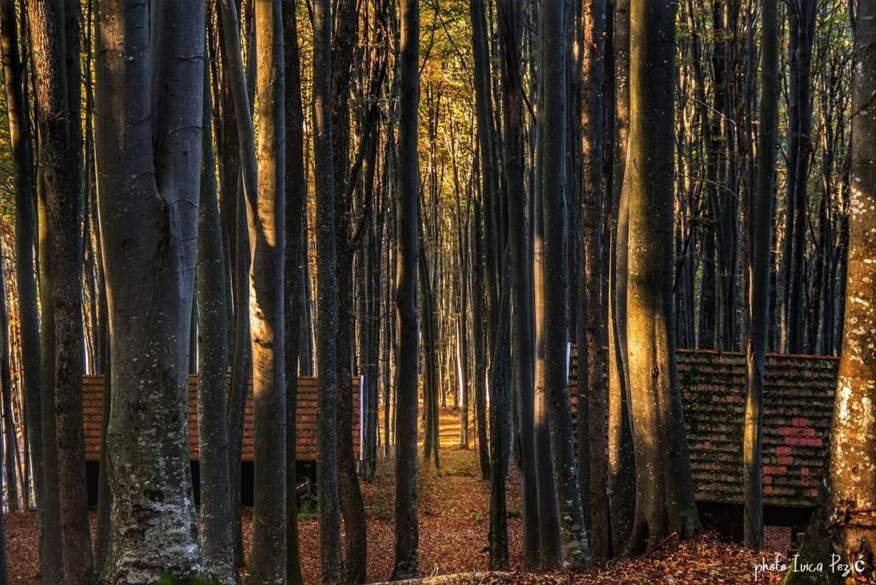 Kablarovo Brdo Konuk evi Krnjak Dış mekan fotoğraf