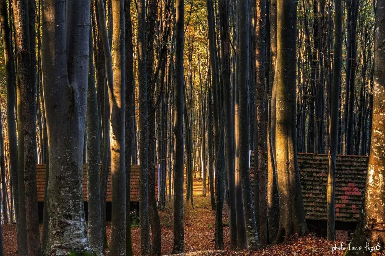 Ruralna Kuca Za Odmor Kablarovo Brdo Konuk evi Krnjak Dış mekan fotoğraf