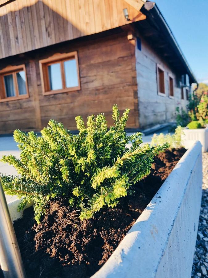 Ruralna Kuca Za Odmor Kablarovo Brdo Konuk evi Krnjak Dış mekan fotoğraf